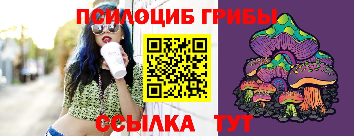 Владикавказ  хочу наркоту  Вход с VPN  Галлюциногенные грибы Cubensis 