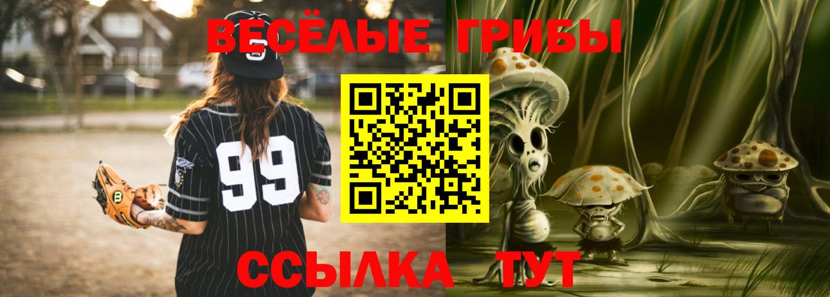 Галлюциногенные грибы MAGIC MUSHROOMS Владикавказ